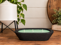 The Vine - Candle